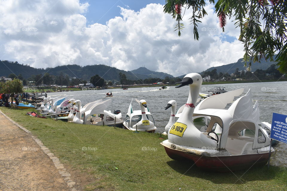 Paddling boats #at Gregory's lake