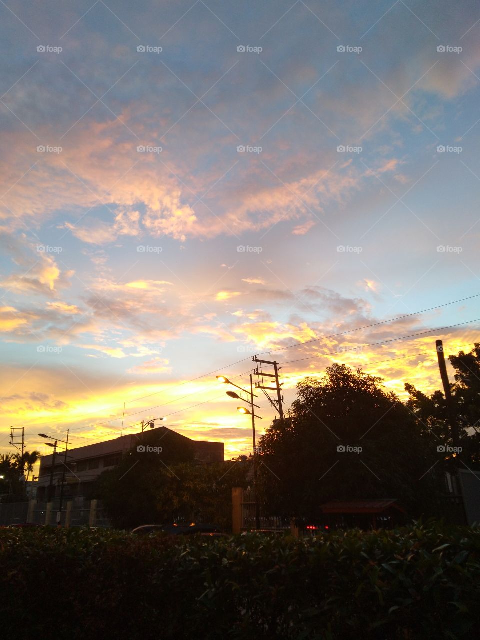 Yellows, and blue hues laced, tinged and meshed with the clouds and sky. I dont know with you, and maybe there are more than meets the eye. But this is a just lil piece of nature's perfection, on an urbanized location