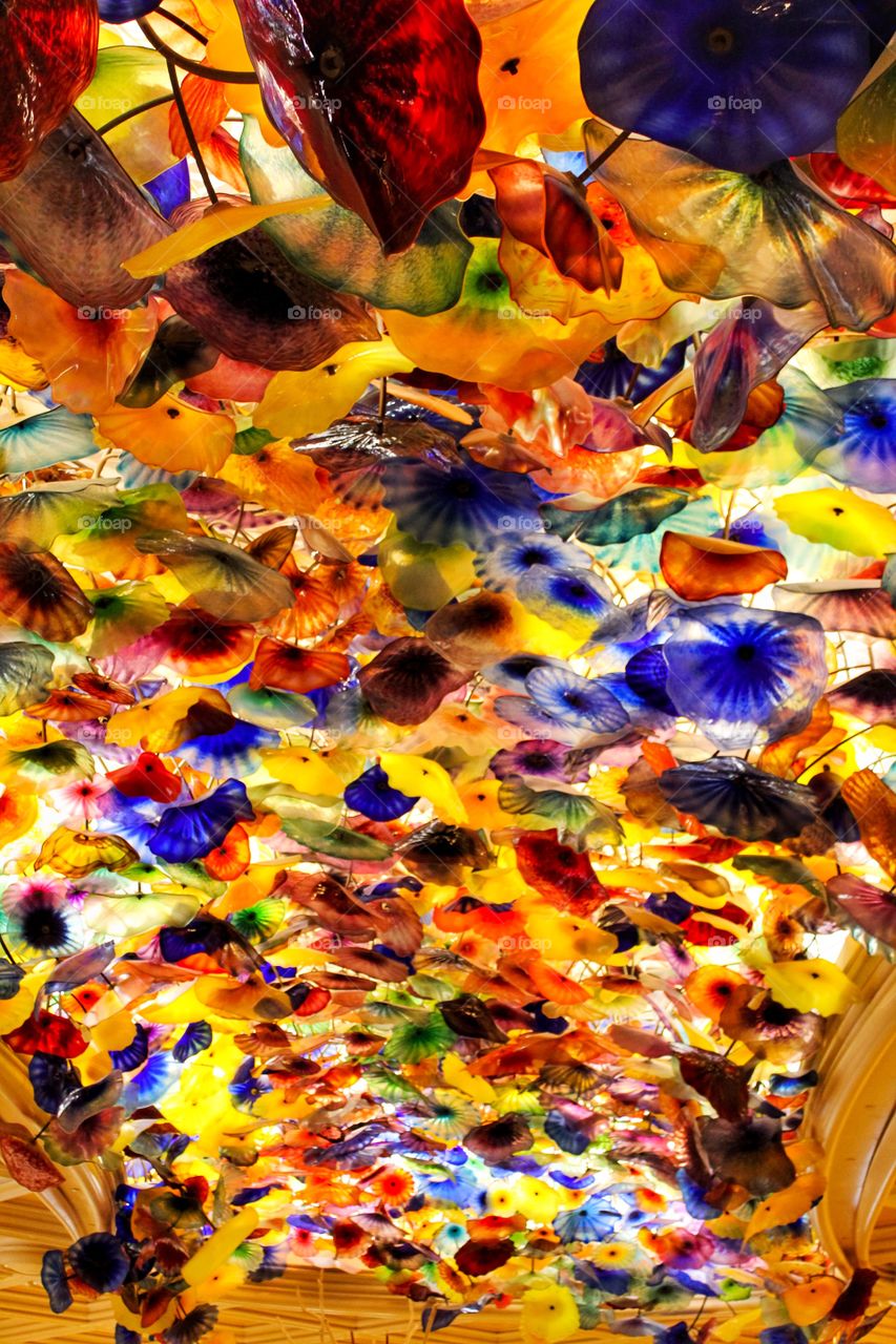 Fall festivities at the Caesar Palace. 