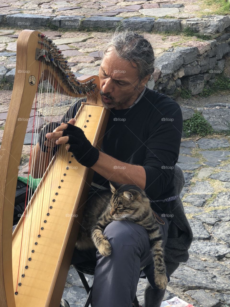 Man with cat playing the harp in Portovenere Italy