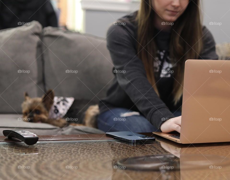 The living room is the best spot to get some work done with your best friend by your side