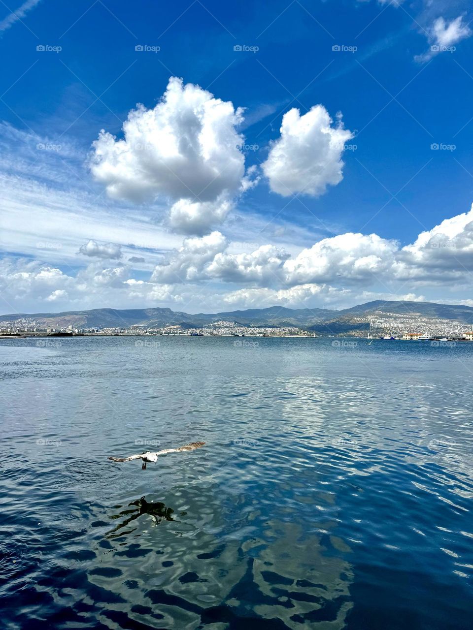 На фотографии изображена чайка, парящая низко над гладкой поверхностью синего моря. Крылья птицы расправлены в полете, создавая ощущение свободы и легкости.