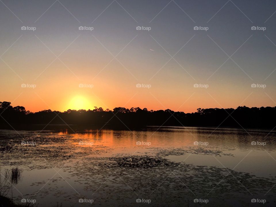 Suns reflection on wetlands 