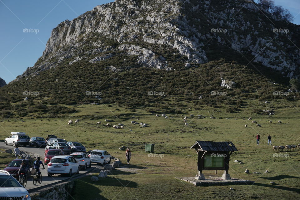 Rock#nature#cars#greengrass#humans