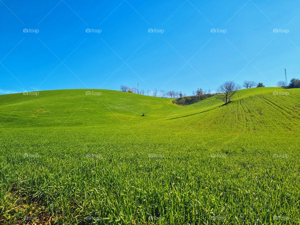 spring landscape between green mountains and blue sky