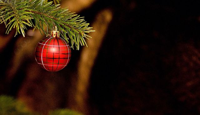 Close-up of christmas decorations