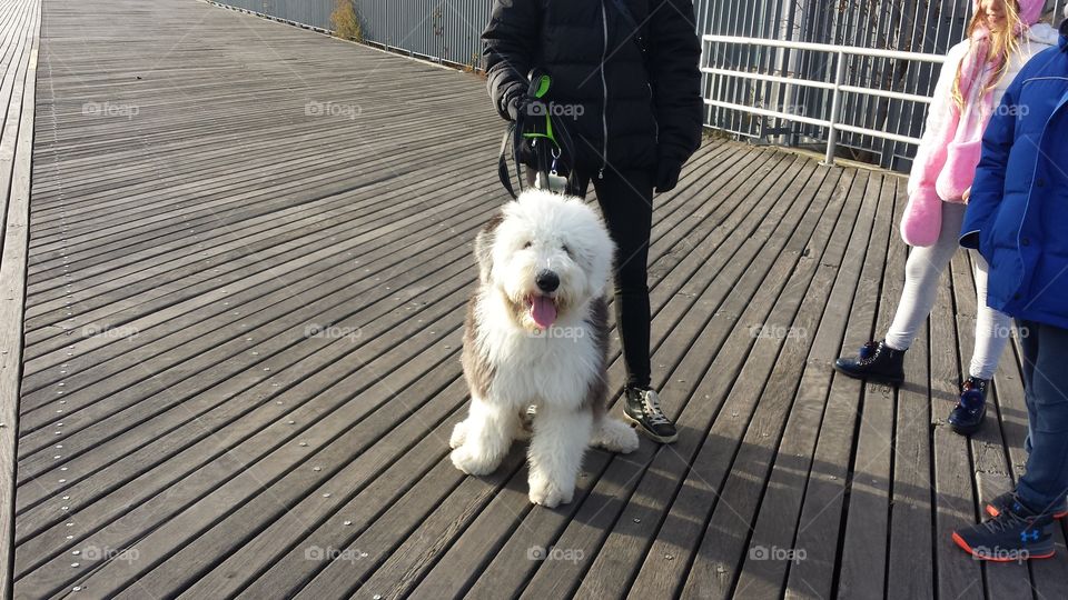 Nivea and care during the holidays