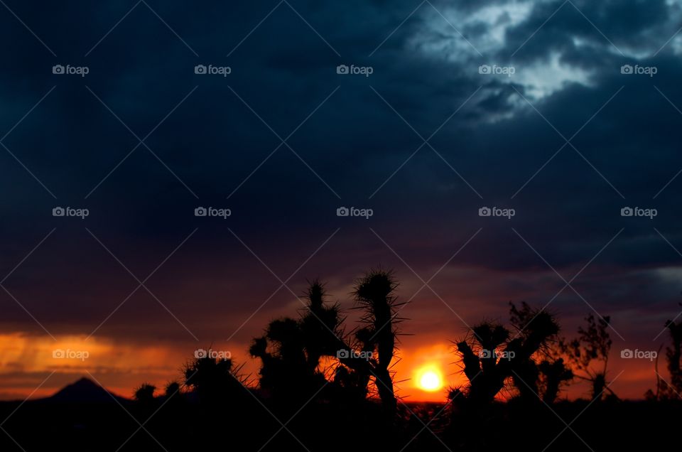 Stormy desert sunset