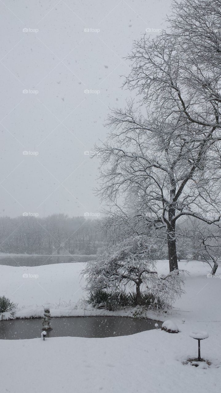 snowy landscape with ponds