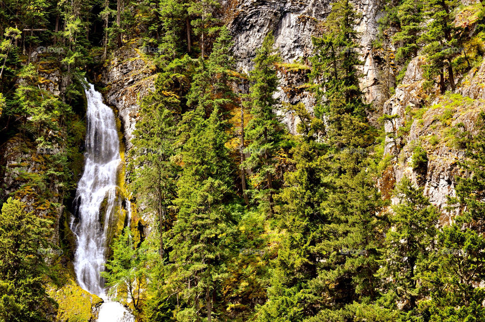 mountain tree trees waterfall by refocusphoto