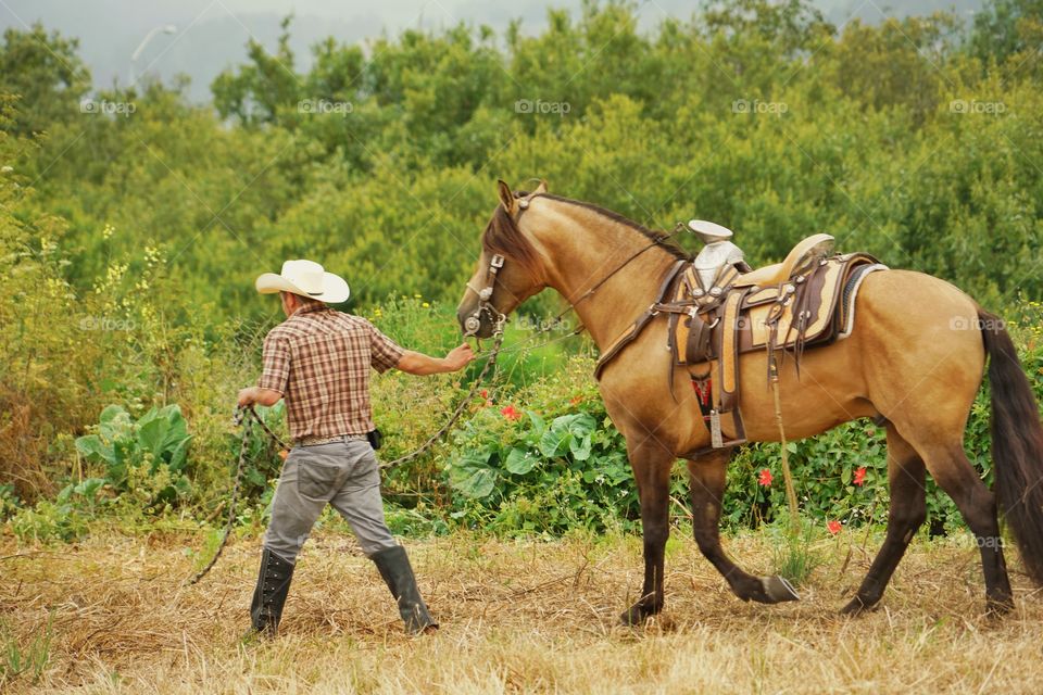 Cowboy Leading His Horse