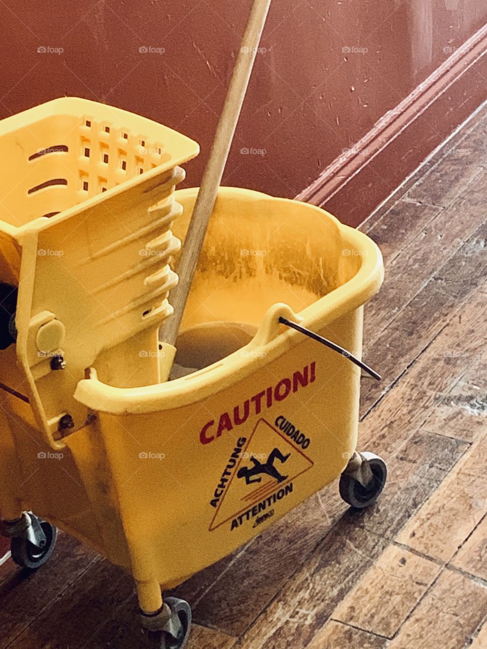 Bucket of water for mopping wood floors 