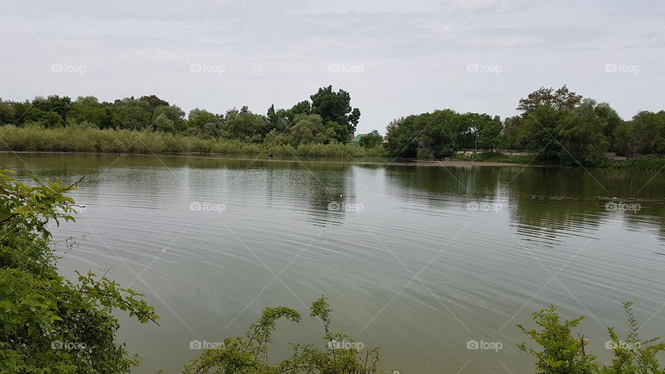 spring lake with reflections