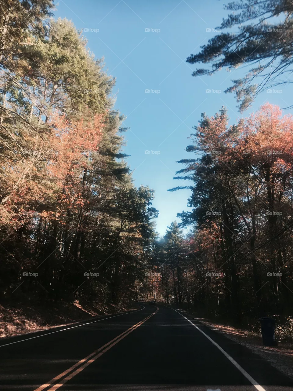 Fall 