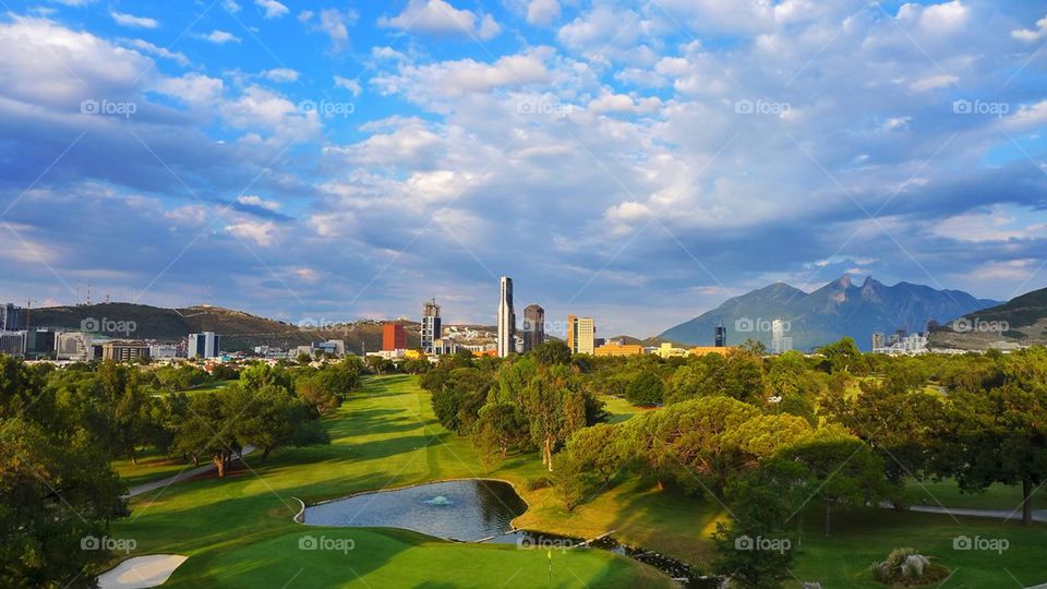 Scenic view of landscape