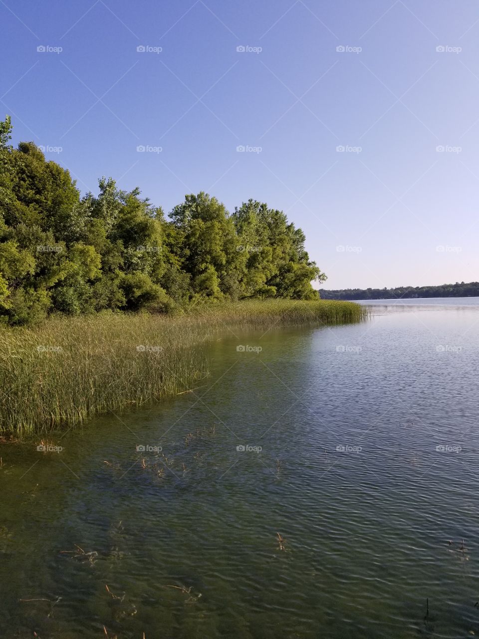 Another beautiful lake view