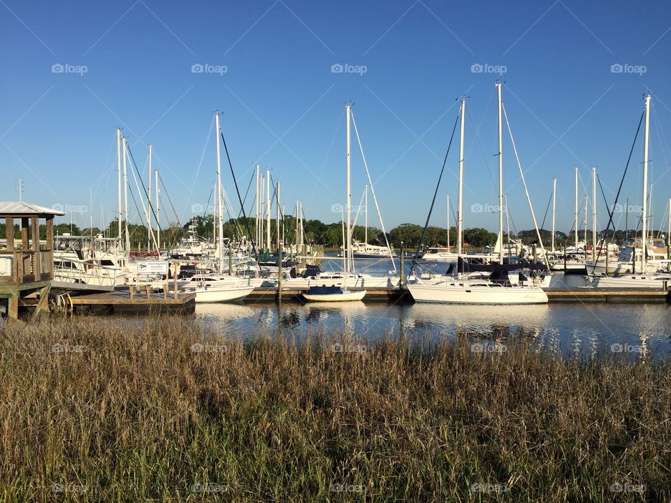 Sailboats at the dock