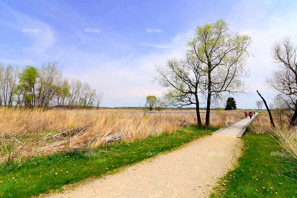 Rollins  Savanna Preserve. Stanley walking a long time at local Nature Preserve near Chicago Illinois