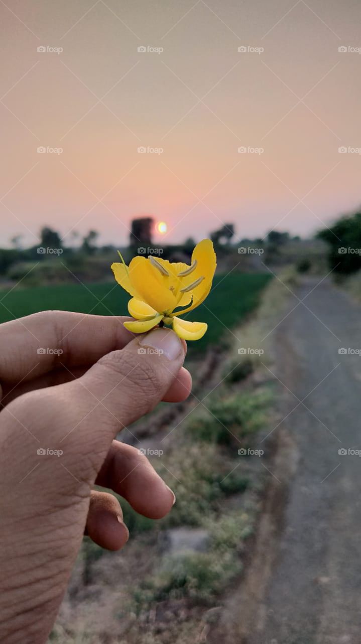 I like so much because am in my village farm , n little flower in my hand .