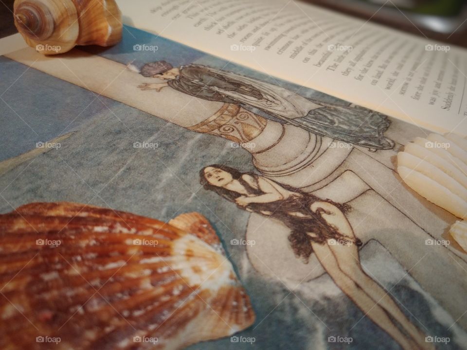 Shells on a Little Mermaid book
