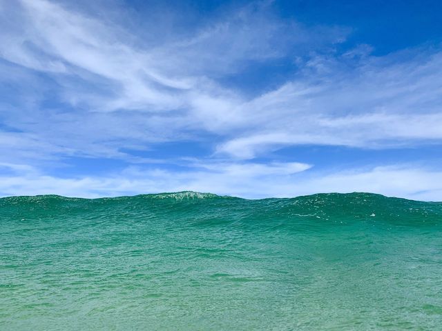 summer by the ocean