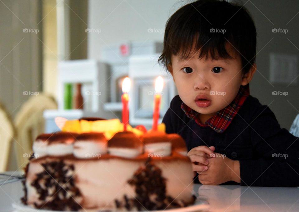 curiosity in birthday