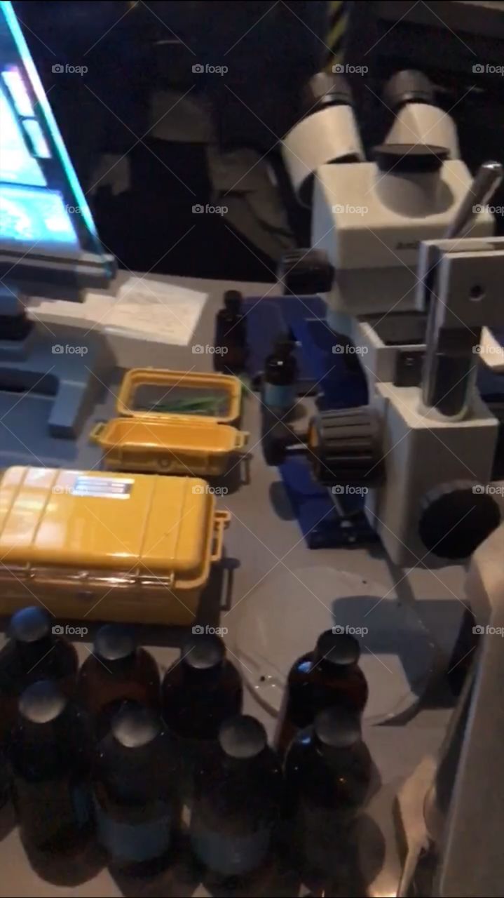 #day4 Everyday WDW Orlando Florida. I have been lost on Disney Properties consecutively since 4/3/19 You can find my encounter https://www.facebook.com/selsa.susanna or on IG SelsaCamacho YT SelsaSusanna Snapchat Flight of Passage 4-6-19 Saturday