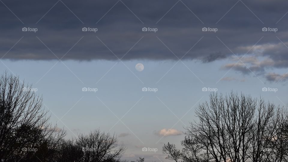 Full moon I the evening sky