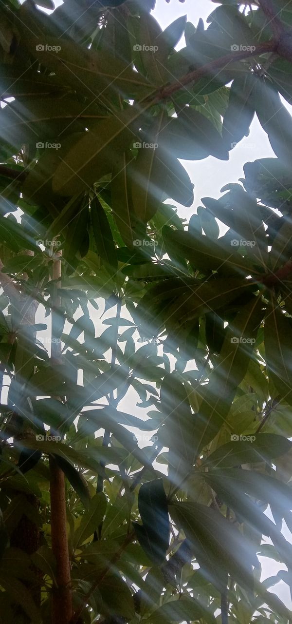 💚💚💚💚💚💚✨✨✨✨✨✨✨