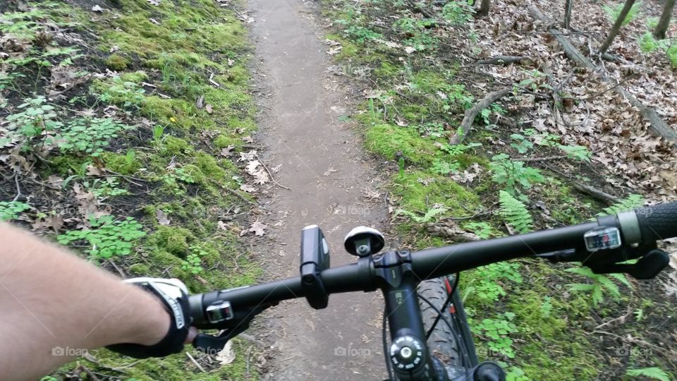 handle bars about to go down the trail through the woods