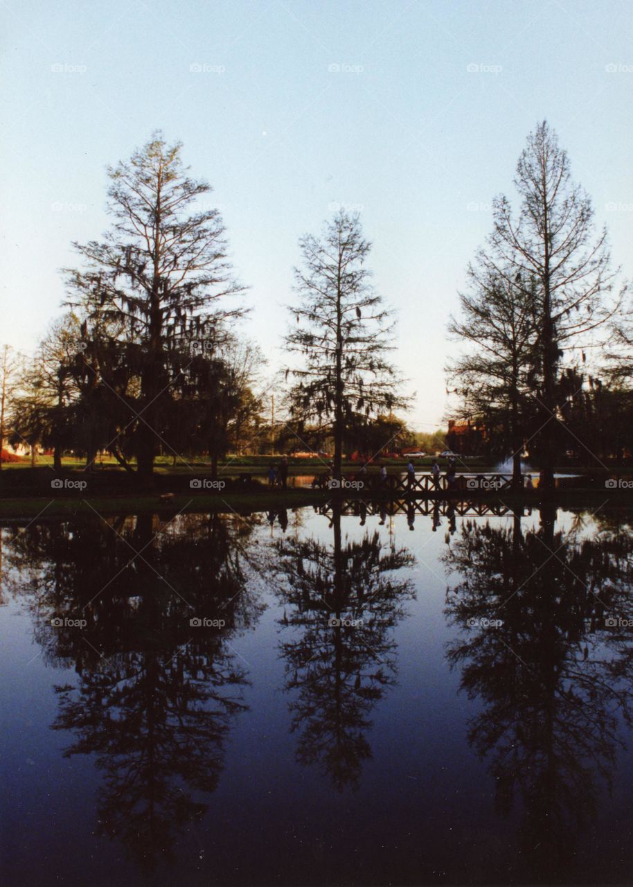 trees reflection Dental Aiken South Carolina people