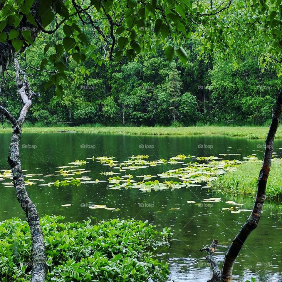 Beautiful pond hike! 