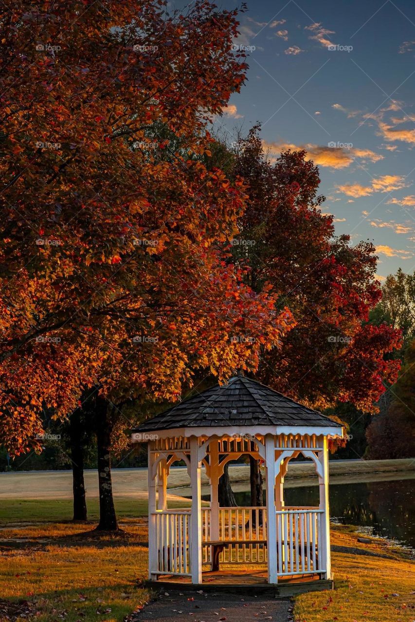 Gazebo in Autumn