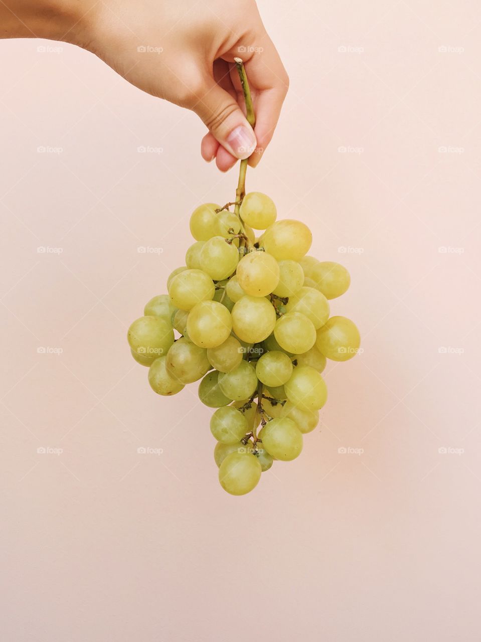 Grapes in a hand 