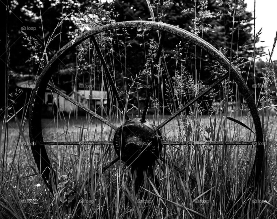 black and white country wheel