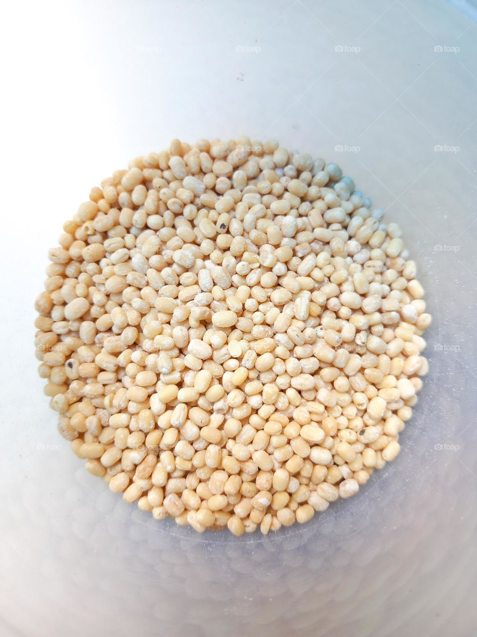 top view of israeli pearl couscous in round bowl isolated on white background