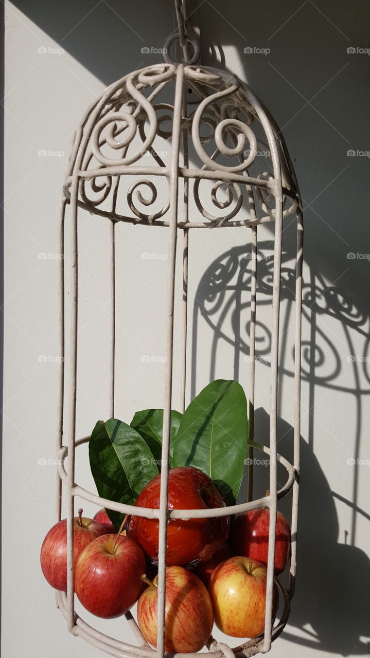 apple cage