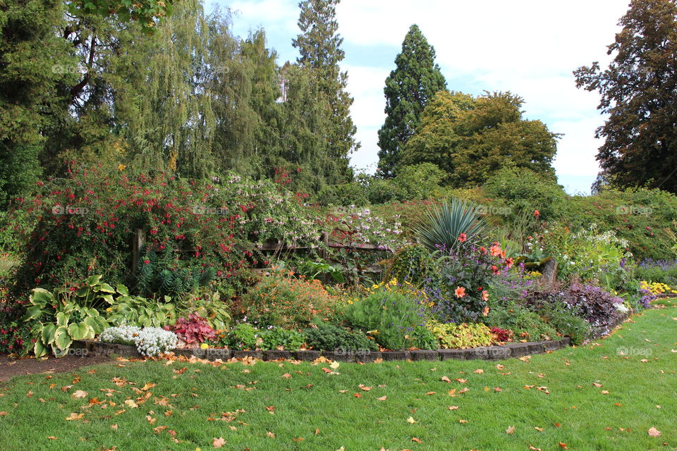 point defiance gardens 2