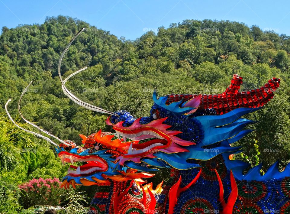 Colorful Chinese Dragon
