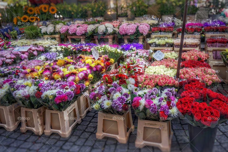 Flower Market