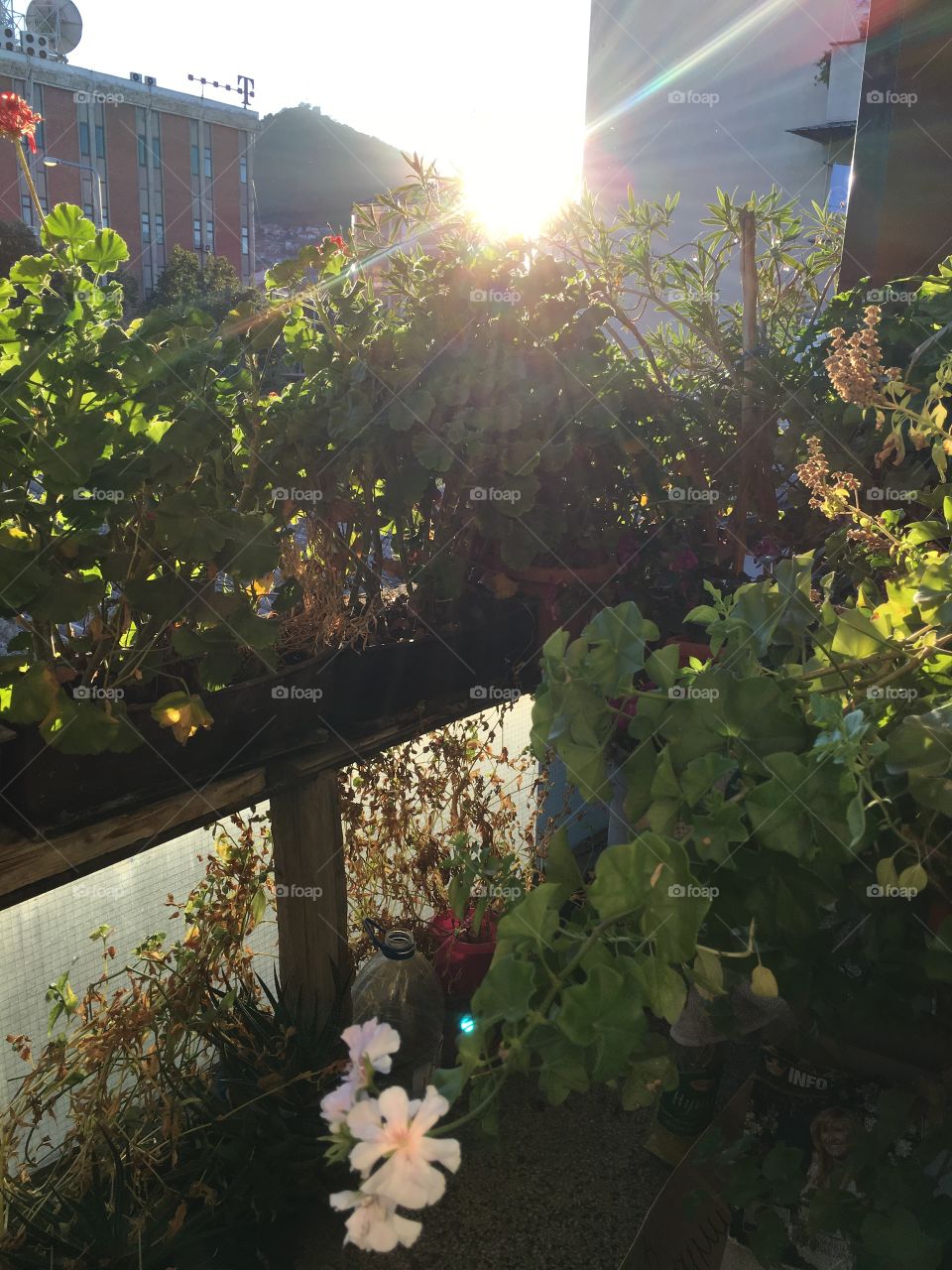 On the balcony 