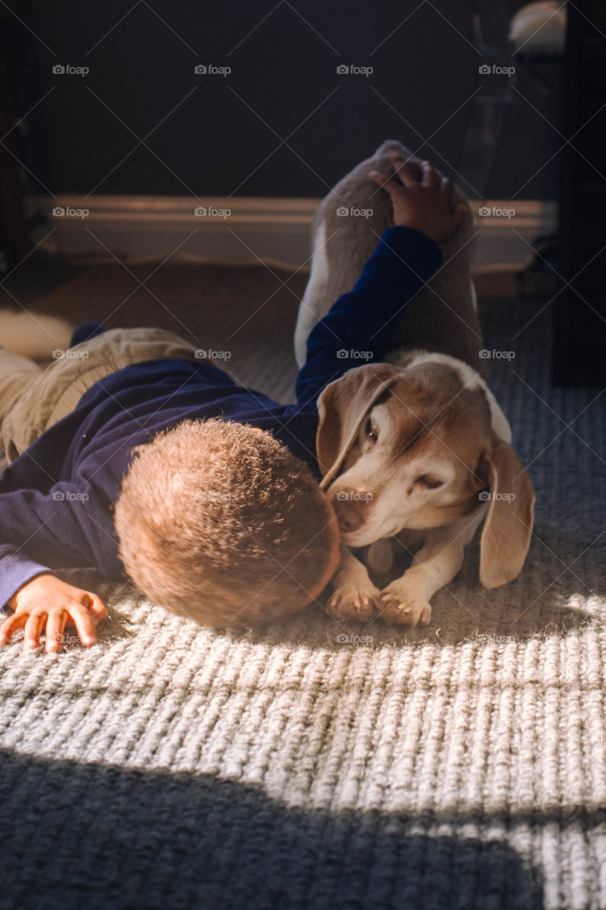 Dog and child laying down