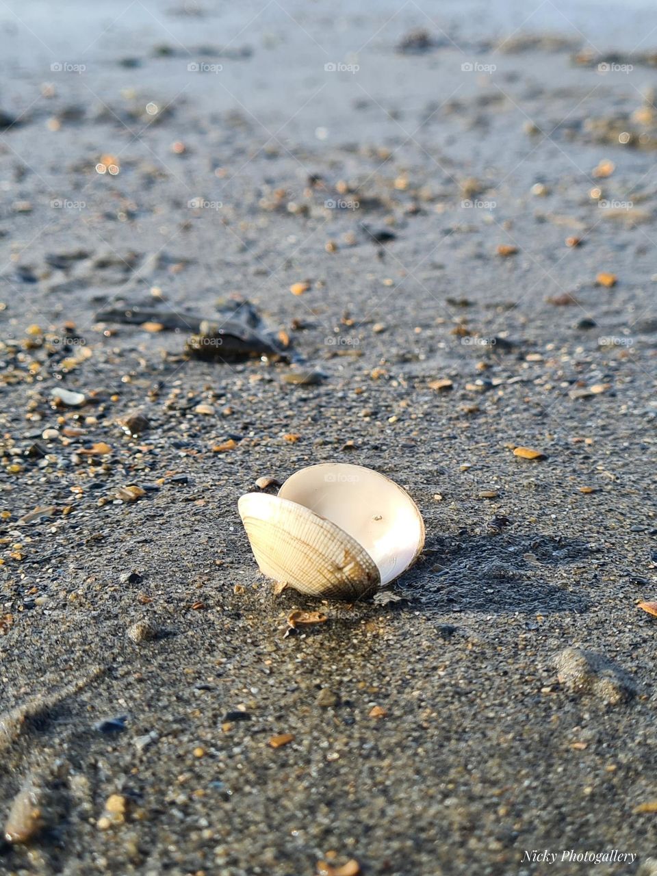 Beach walk 🌞🐚🫧