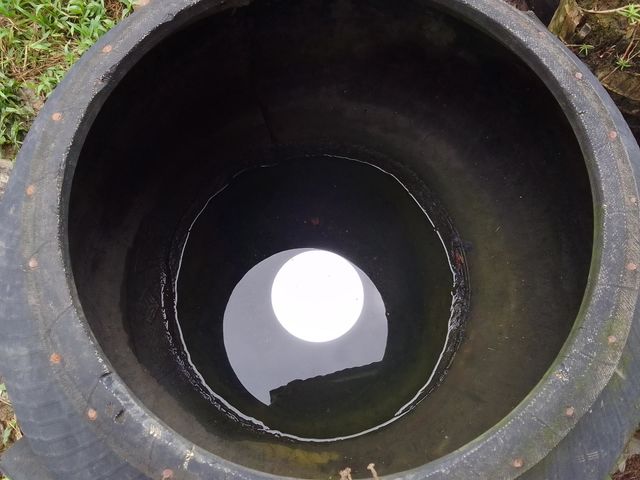 circles