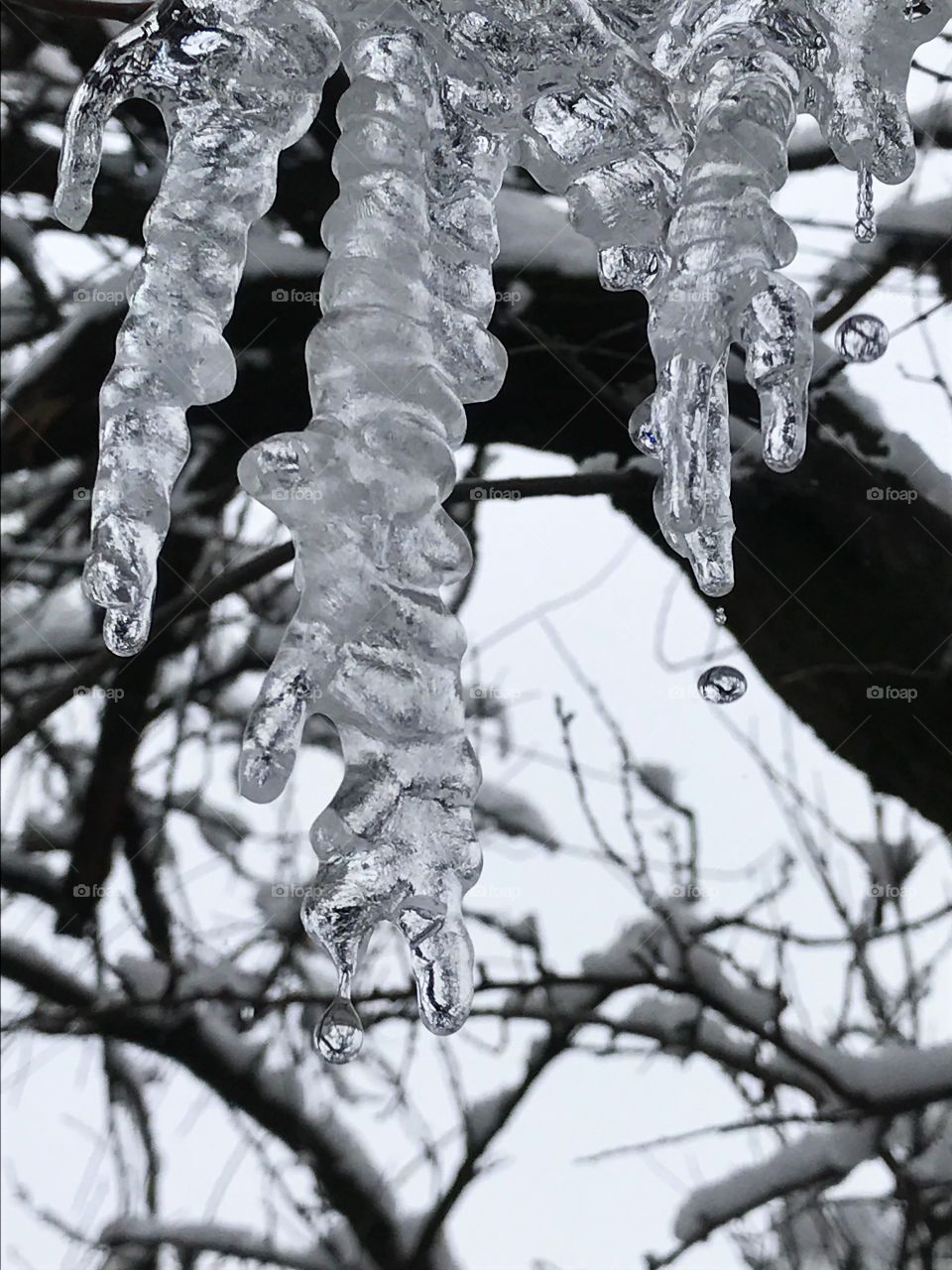 Icicles 