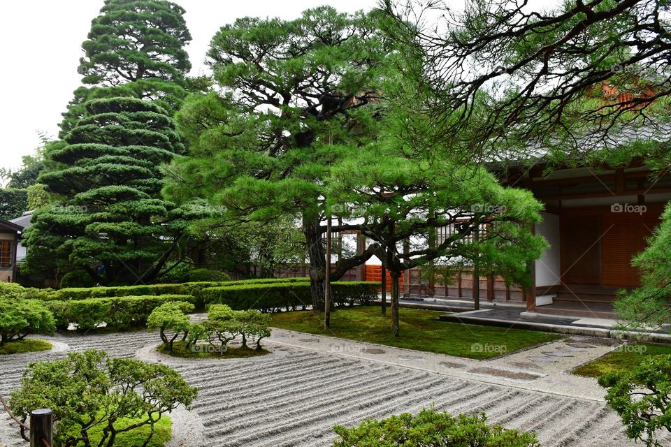 Japanese garden