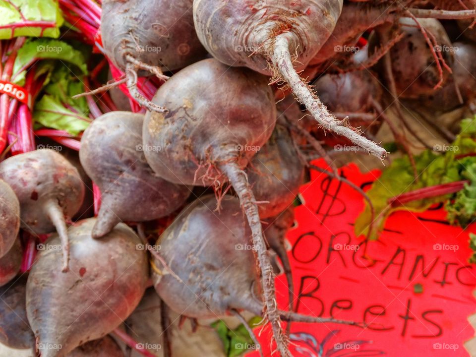 Fresh Beets. Freshly Harvested Organic Red Beets
