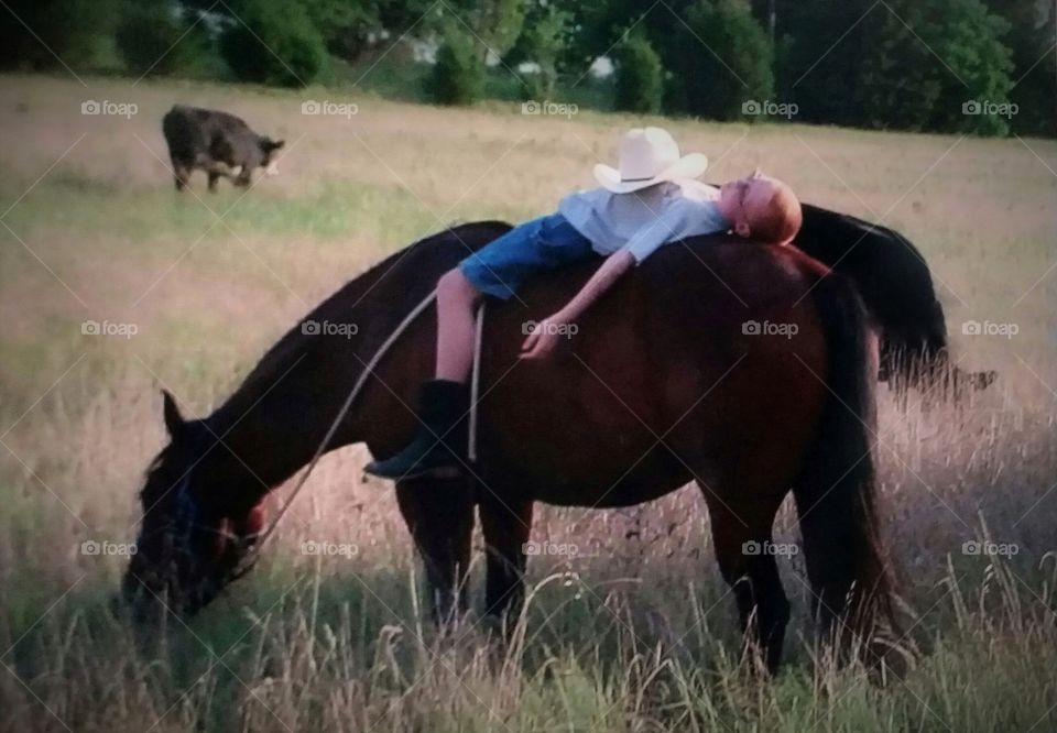 Trust Between A Boy And His Horse❣