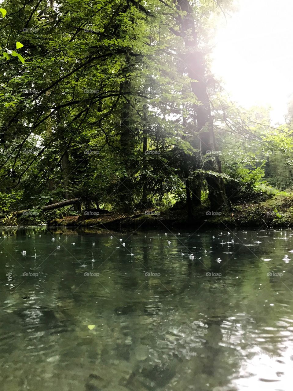 Steibachweiher 