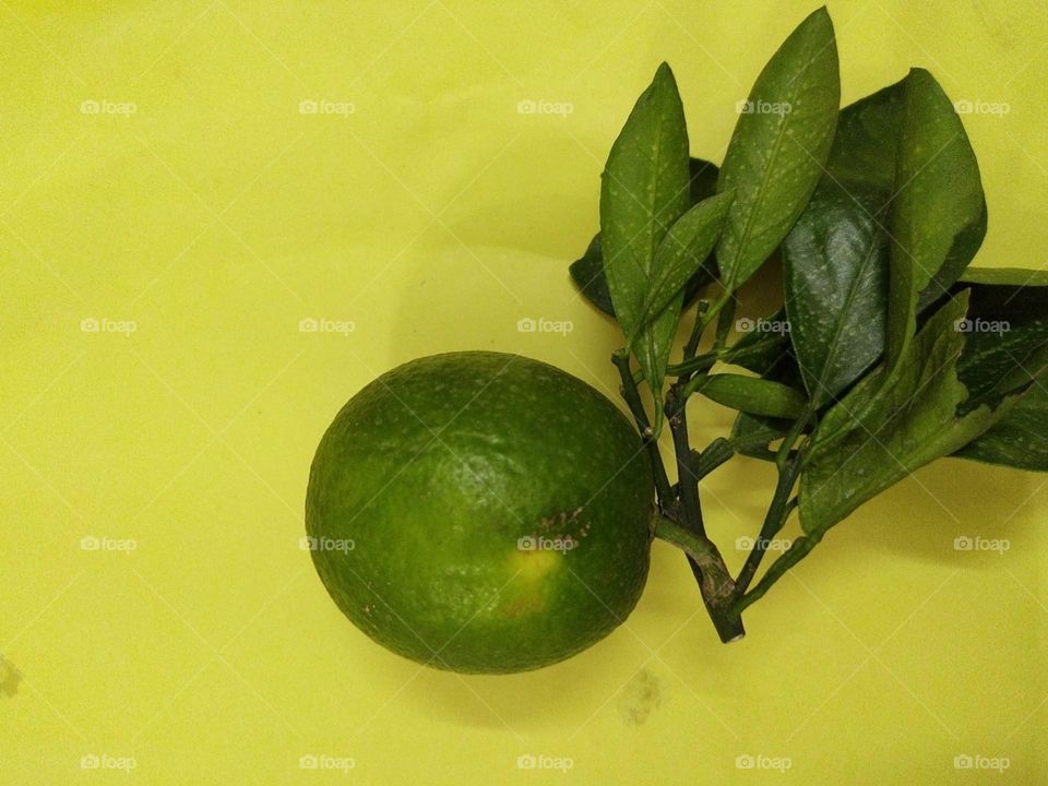 Malta fruit with yellow background